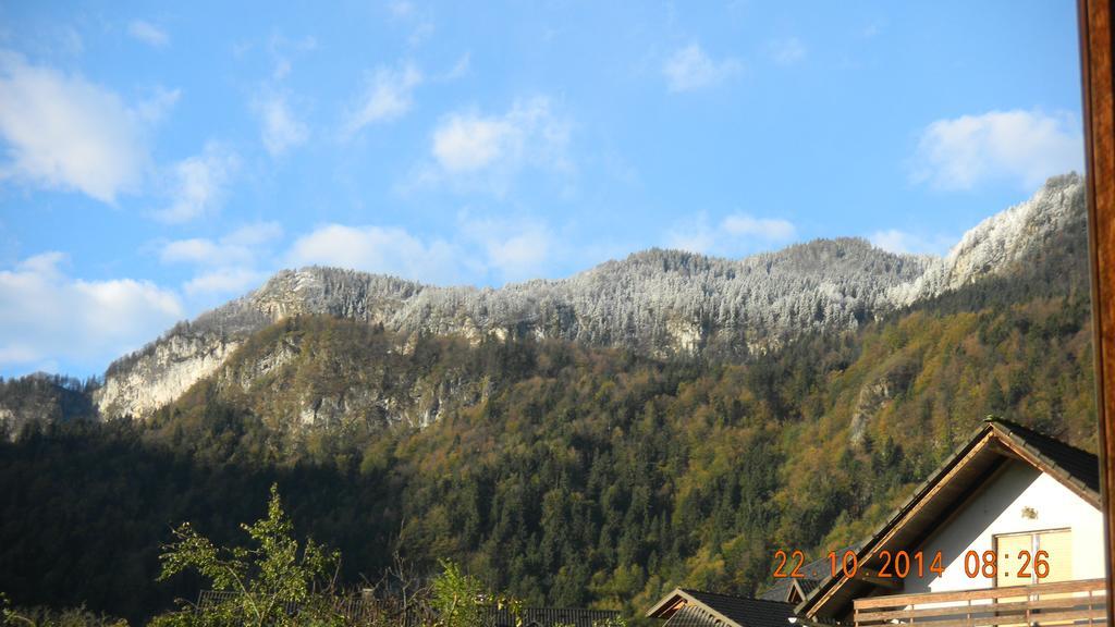 Torkar Bled