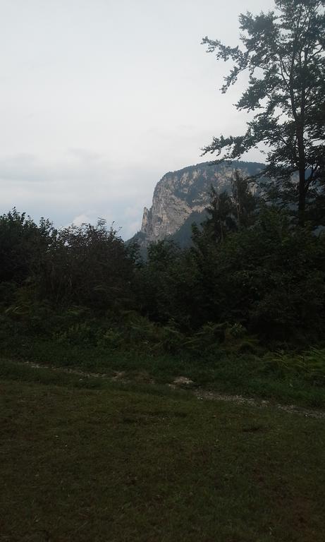 Torkar Apartment Bled